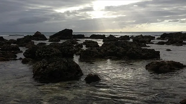 Dünya Meteoroloji Örgütü: Güney-Batı Pasifik'te iklim değişikliğinin etkileri artıyor