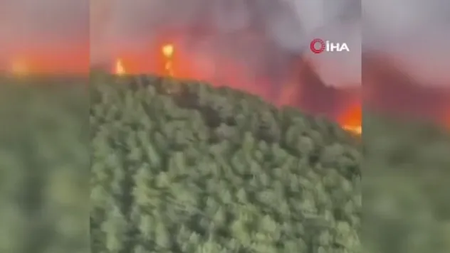 İspanya'nın Tenerife Adası yangınlarla boğuşuyor: 26 bin kişi tahliye edildi