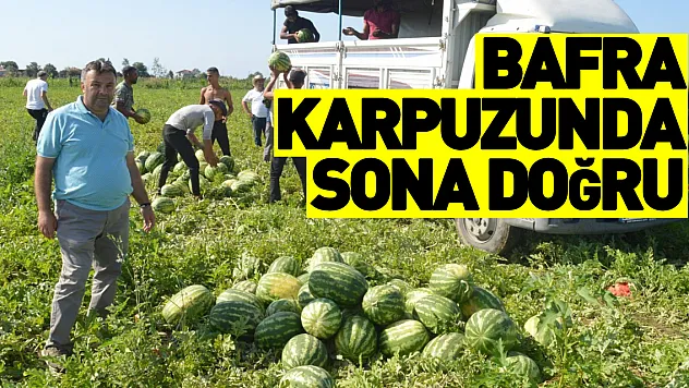 Bafra karpuzunda sona doğru