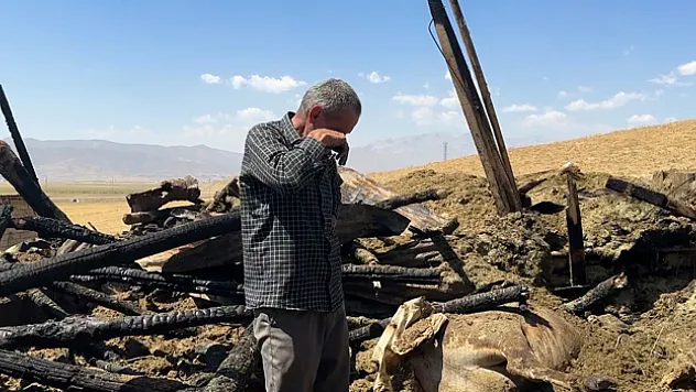 Yangında 7 ineğini kaybeden vatandaş hüngür hüngür ağladı