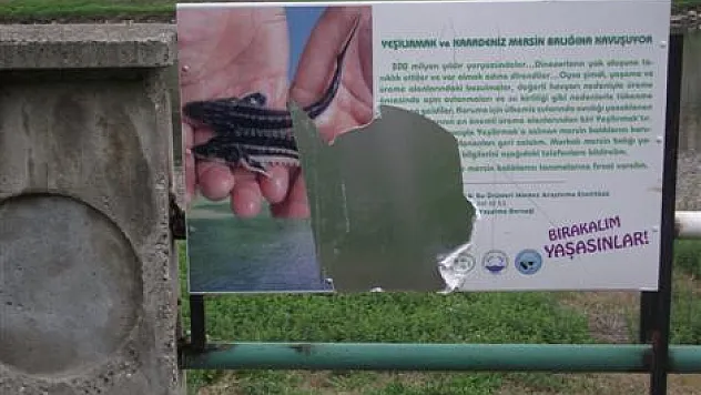 Bırakın Yaşasınlar!