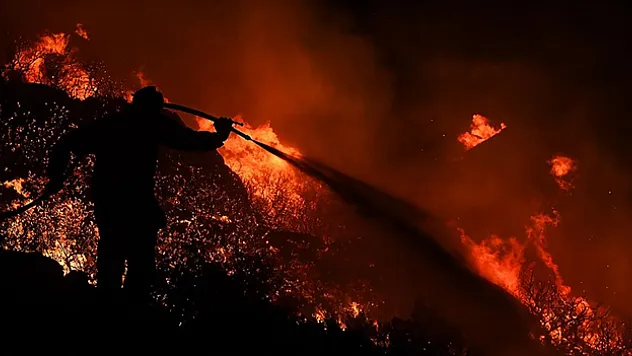 Yunanistan'da yangınların devam ettiği Meriç Bölgesi'ndeki ormanlık alanda 18 kişinin cesedi bulundu