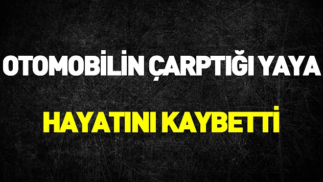 Samsun'da otomobilin çarptığı yaya hayatını kaybetti