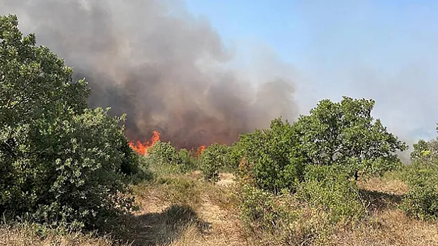Çanakkale'de ağaçlık alanda yangın çıktı