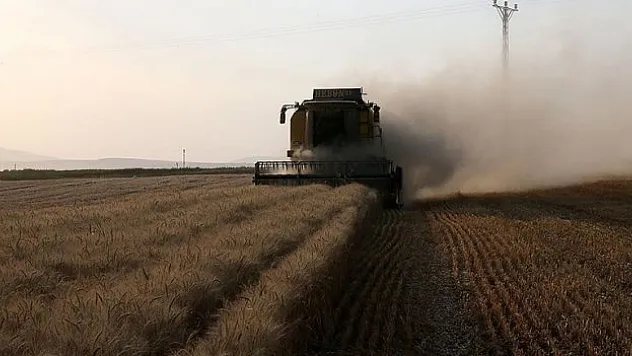 163,1 milyon liralık tarımsal destekleme ödemesi çitçilerin hesaplarına bugün yatırılacak