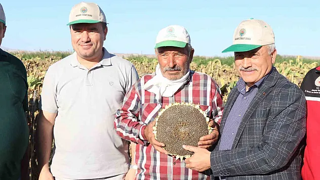 Ay çekirdeğinin kalbinde hasat başladı