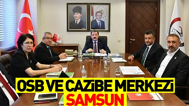 OSB ve cazibe merkezi Samsun
