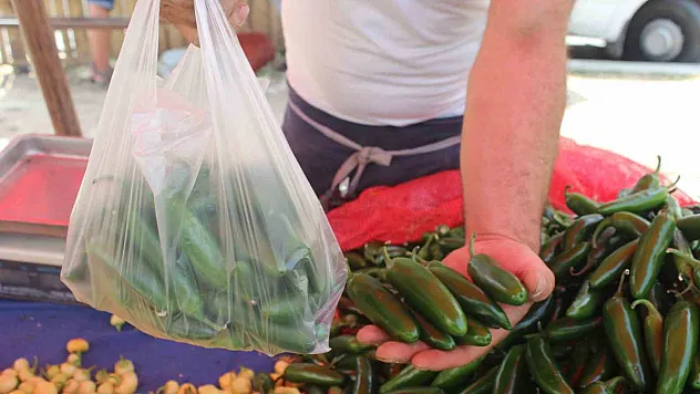 (ÖZEL) Bu yıl turşuluk ürünlerde acı biber revaçta