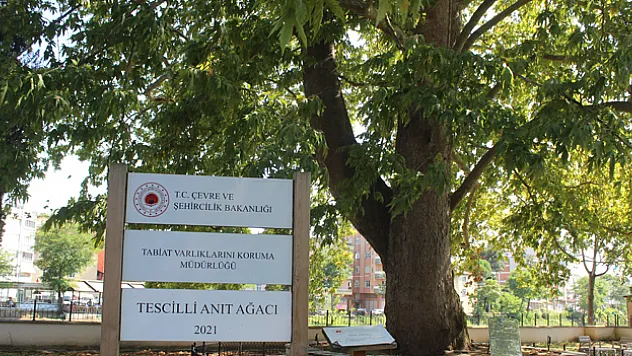 Serinlemek isteyenlerin uğrak noktası