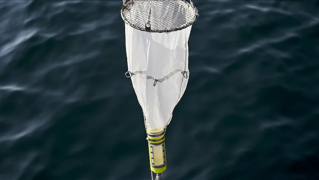 Marmara Denizi'nde oksijen azalıyor, sıcaklık artıyor