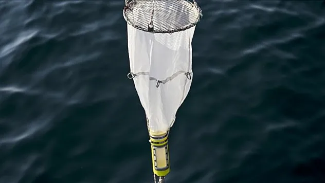 Marmara Denizi'nde oksijen azalıyor, sıcaklık artıyor