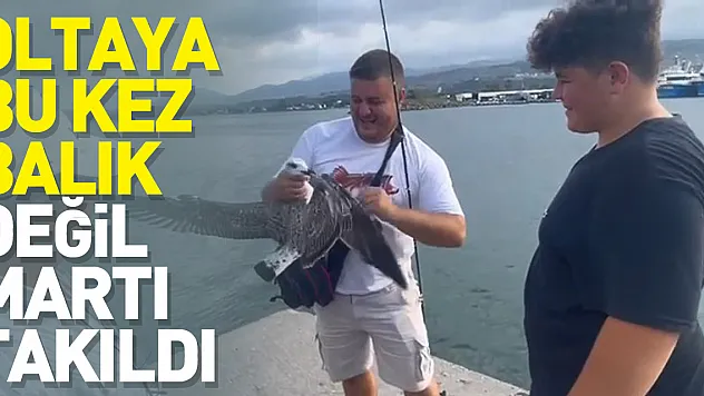 Balıkçıların oltasına bu kez balık değil martı takıldı