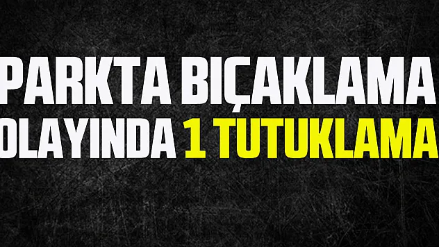 Parkta bıçaklama olayında 1 tutuklama