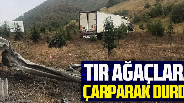 Samsun'da yoldan çıkan tır ağaçlara çarparak durdu