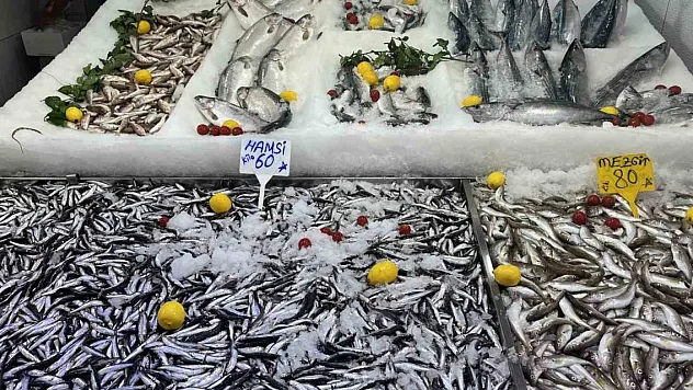 Balık sezonu hamsi bolluğuyla başladı