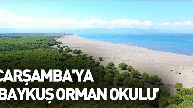 Çarşamba'ya 'Baykuş Orman Okulu'