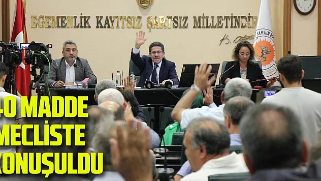 Samsun meclisi 40 maddeyi komisyonlara havale etti