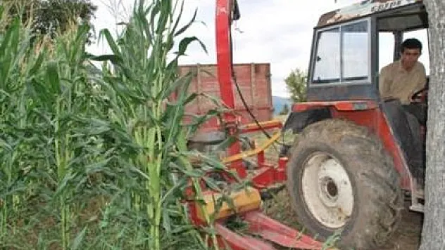 Slajlık mısır hasadı başladı