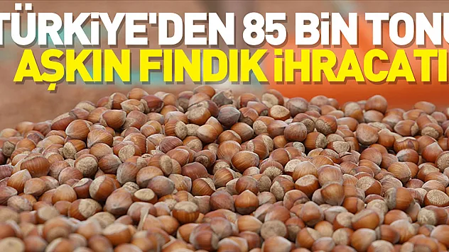 Türkiye'den Almanya'ya 85 bin tonu aşkın fındık ihraç edildi
