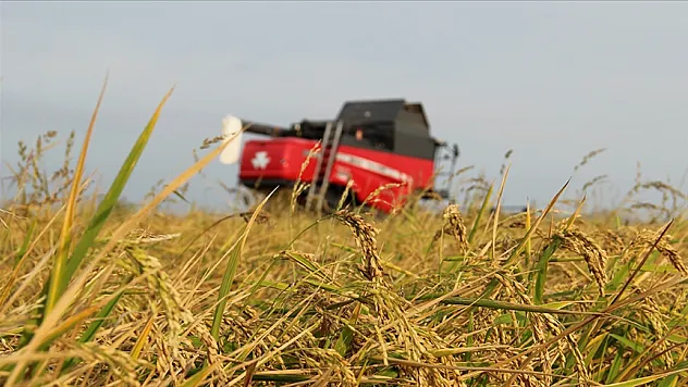 Tarımsal üretimde 'sözleşmeli üretim yönetim sistemi' kurulacak