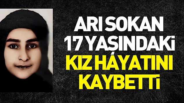 Fındık toplarken elini arı sokan 17 yaşındaki kız hayatını kaybetti