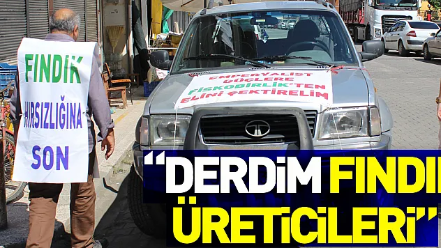 'Derdim fındık üreticileri'