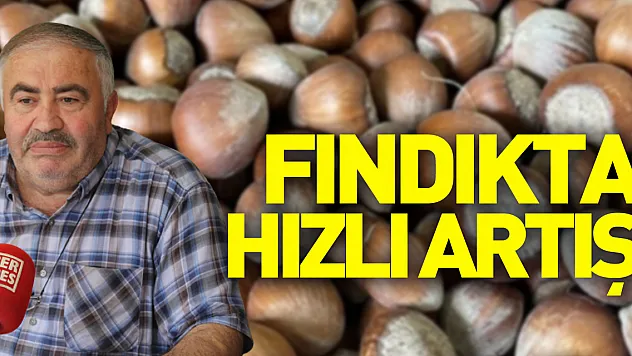 Fındıkta hızlı artış!