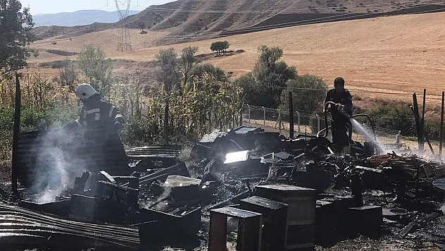 Amasya'da çıkan yangında 20 kovan arı telef oldu