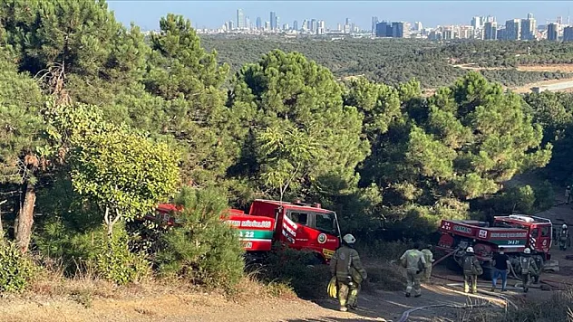 Sultangazi'de ormanlık alanda çıkan yangın kontrol altına alındı
