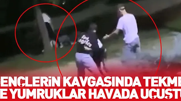 Gençlerin kavgasında tekme ve yumruklar havada uçuştu