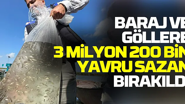 Samsun'da baraj ve göllere 3 milyon 200 bin sazan yavrusu bırakıldı