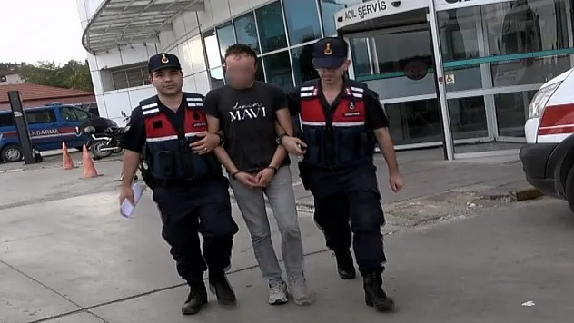 Silahla 3 büyükbaş hayvanı telef eden şahıs tutuklandı