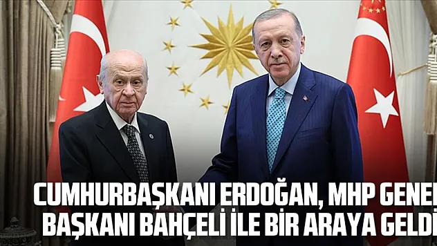 Cumhurbaşkanı Erdoğan, MHP Genel Başkanı Bahçeli ile bir araya geldi
