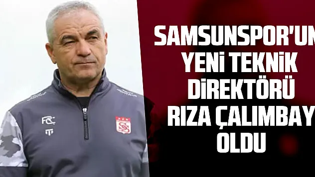 Samsunspor'un yeni teknik direktörü Rıza Çalımbay oldu