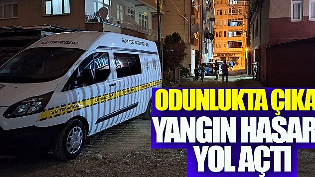 Samsun'da odunlukta çıkan yangın hasara yol açtı