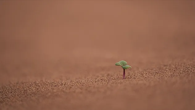 İklim krizleri su altyapısına yönelik küresel finansman ihtiyacını artırıyor