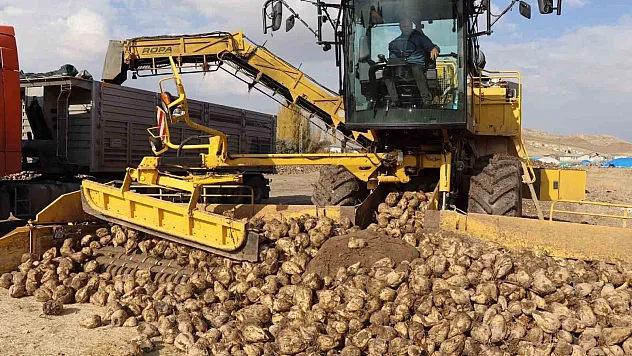 Şeker pancarı alım fiyatı ton başına bin 855 lira