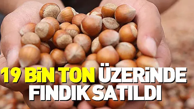 19 bin ton üzerinde fındık satıldı