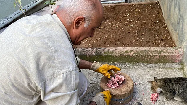 Depremde tedavi edip iyileştirdiler, şimdi ailenin parçası oldu