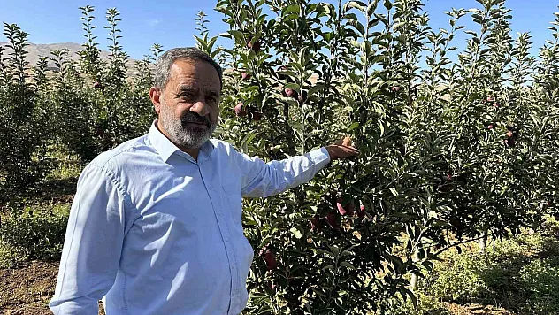 Tarlada 5 lira olan elmanın fiyatı markette 30 liraya kadar çıkıyor