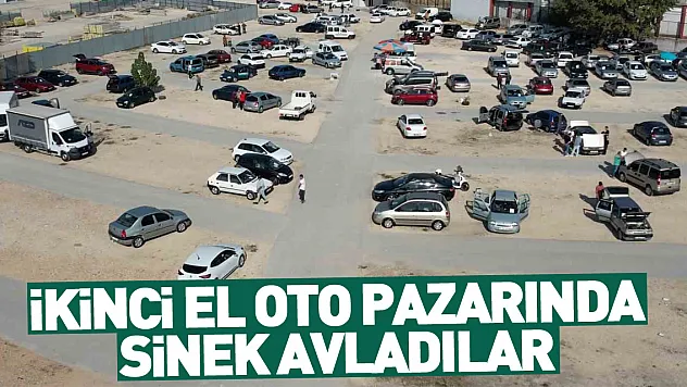İkinci el oto pazarında sinek avladılar