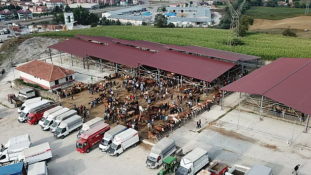 Hayvan pazarı yeniden açılıyor