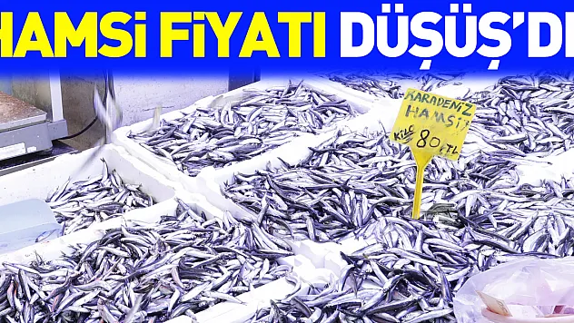 HAMSi FiYATI DÜŞÜŞ'DE