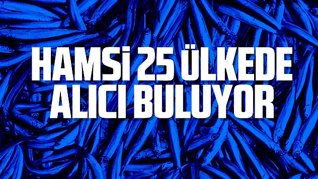 HAMSİ 25 ÜLKEDE ALICI BULUYOR