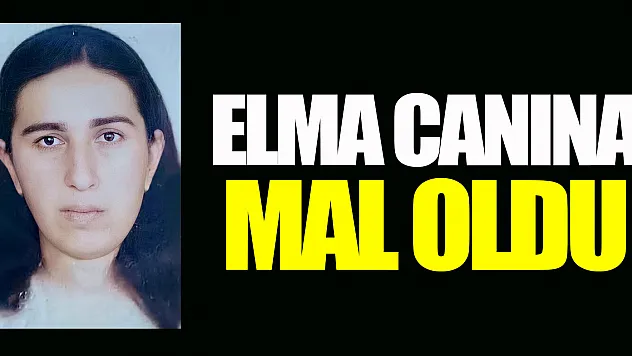 Elma canına mal oldu