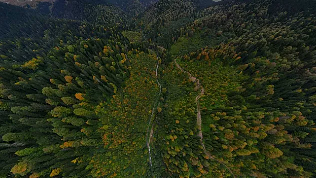 Örümcek Ormanları sonbaharın büyüsüne kapıldı