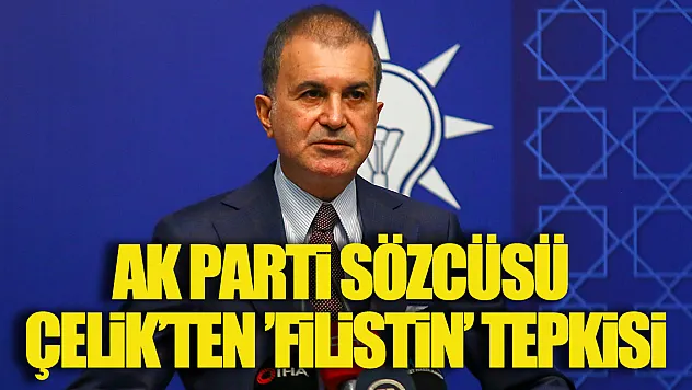 AK Parti Sözcüsü Çelik'ten 'Filistin' tepkisi