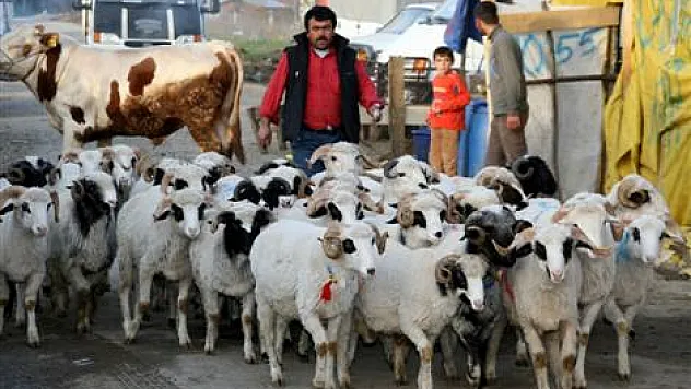 Samsun'da kurban önlemleri