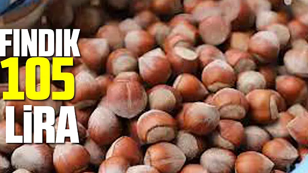 Fındık 105 lira