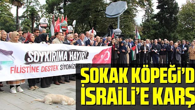 SOKAK KÖPEĞİ'DE İSRAİLİ'E KARŞI!